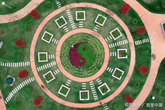 乡嵇坊村花卉苗木产业扶贫基地里,农户在管护八卦图等独特的造型植物